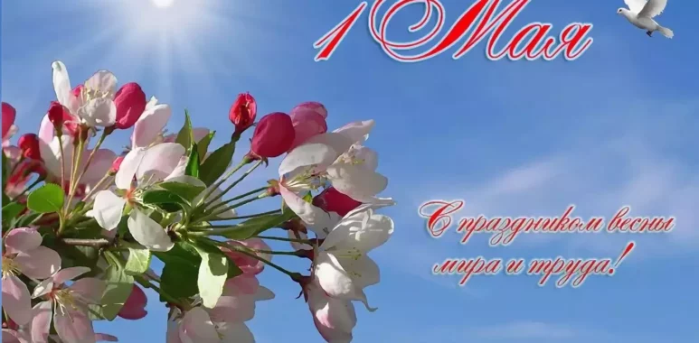 Поздравляем с праздником весны и труда! pozdravlyaem s prazdnikom vesny i truda 644fee46e6019